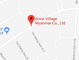 snow village map