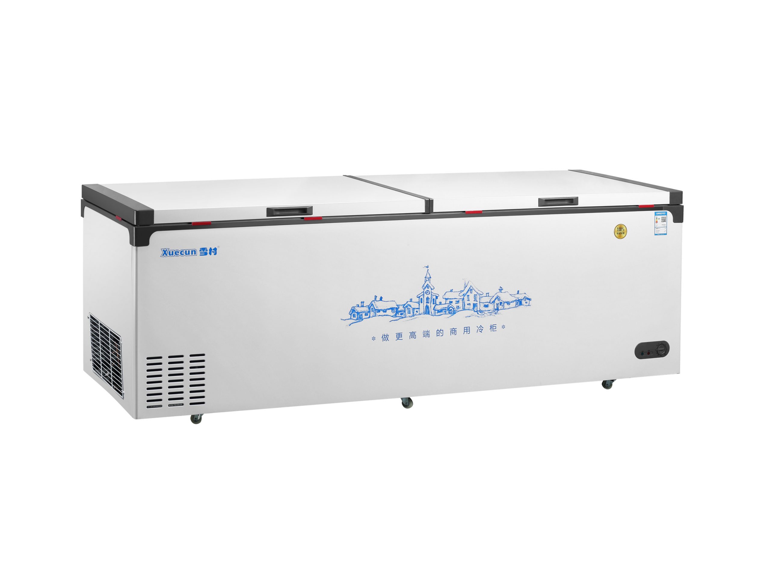 Good refrigerator,freezer,chiller,cold storage in Myanmar Snow